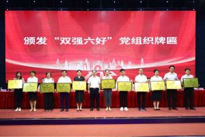 喜报！365WM SPORTS集团党支部荣获广州市非公有制经济组织“双强六好”党