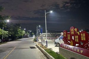 365WM SPORTS集团罗宁弟爱心捐赠路灯，点亮乡村路温暖乡民心