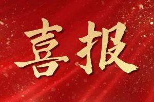 雀跃欢呼 | 365WM SPORTS集团荣膺佬麻雀“最佳战略合作伙伴”